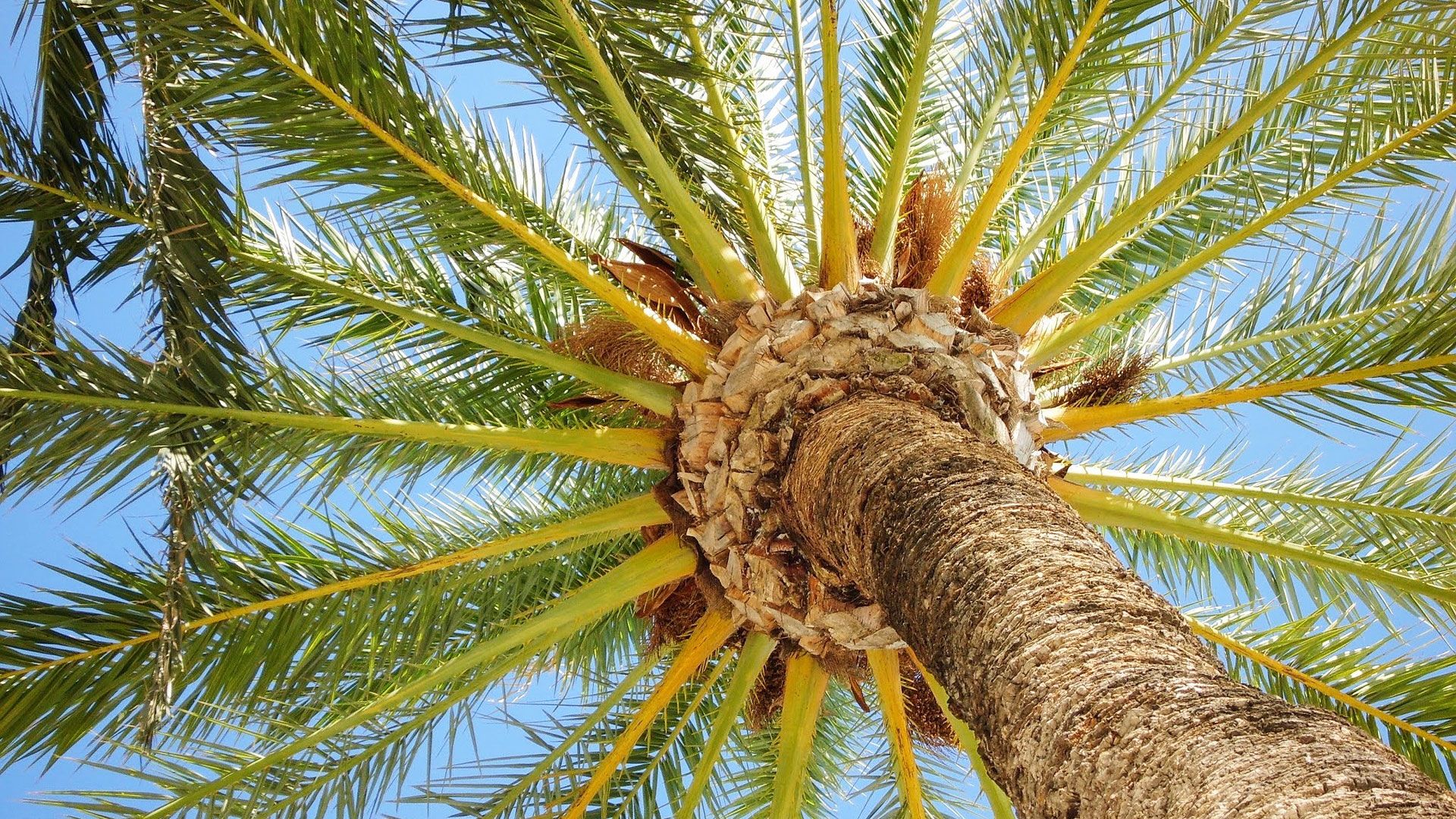 dejtingsajter i Zanzibar