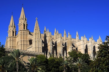 Palma